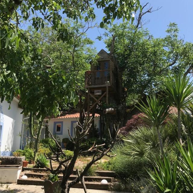 Casa Oliva - Casa Da Serra Porto de Mós Екстериор снимка