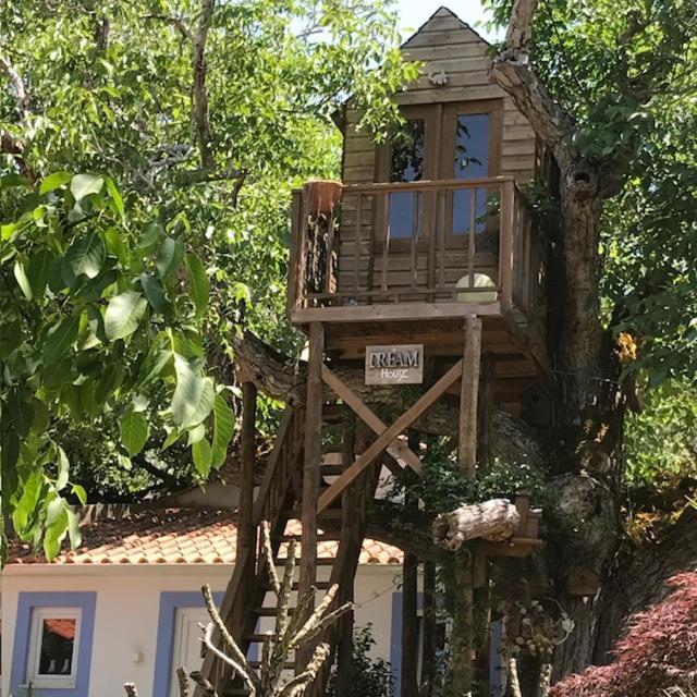 Casa Oliva - Casa Da Serra Porto de Mós Екстериор снимка