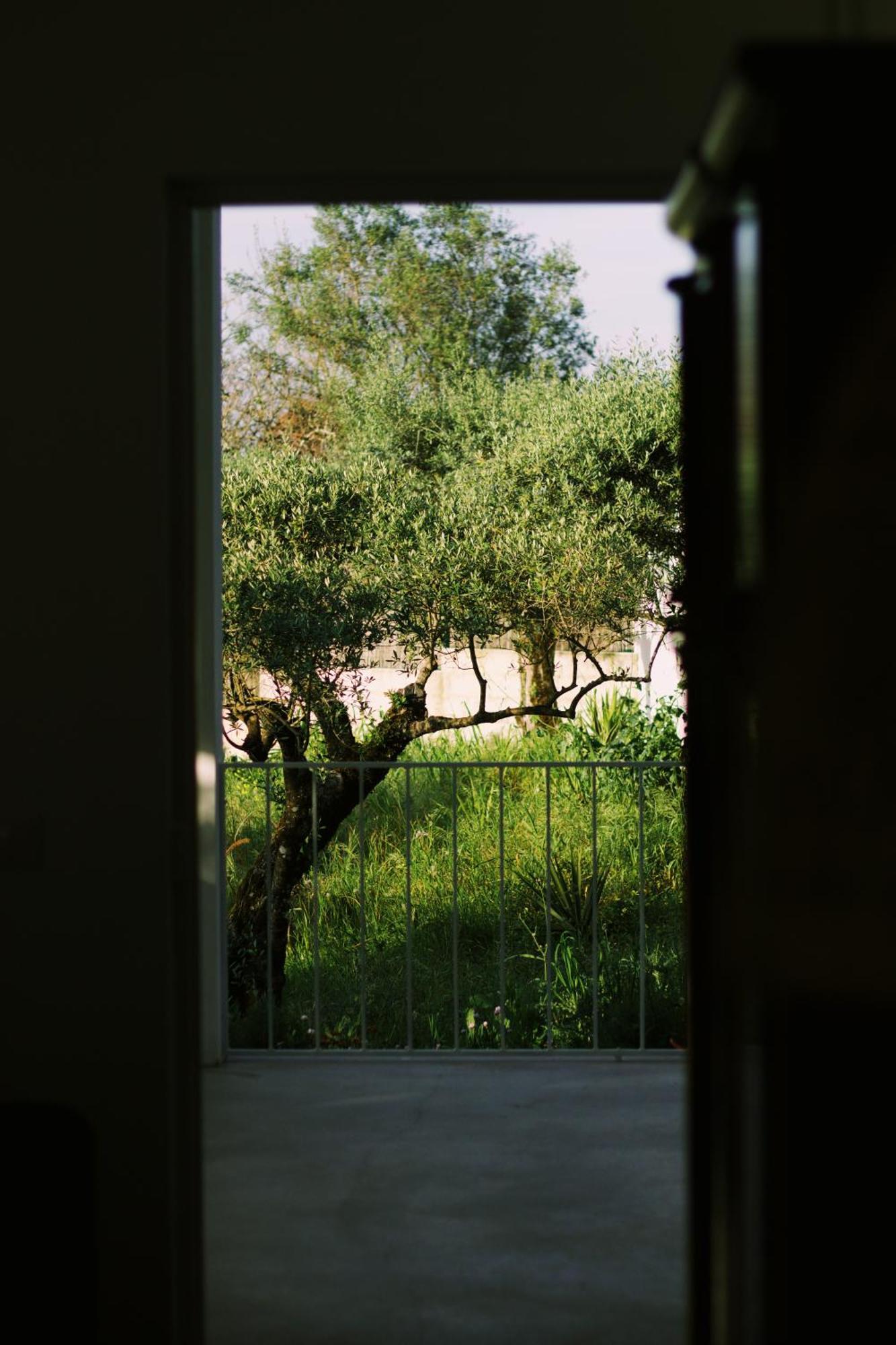 Casa Oliva - Casa Da Serra Porto de Mós Екстериор снимка