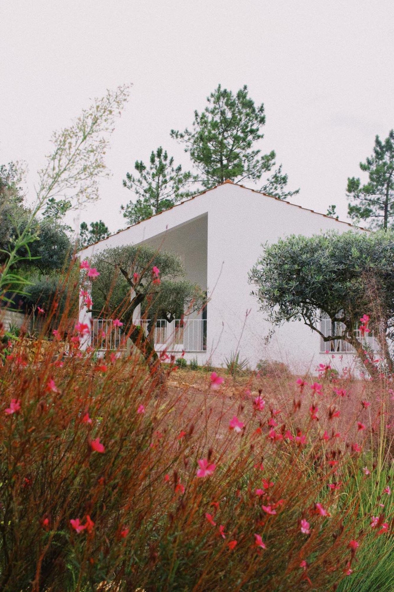 Casa Oliva - Casa Da Serra Porto de Mós Екстериор снимка